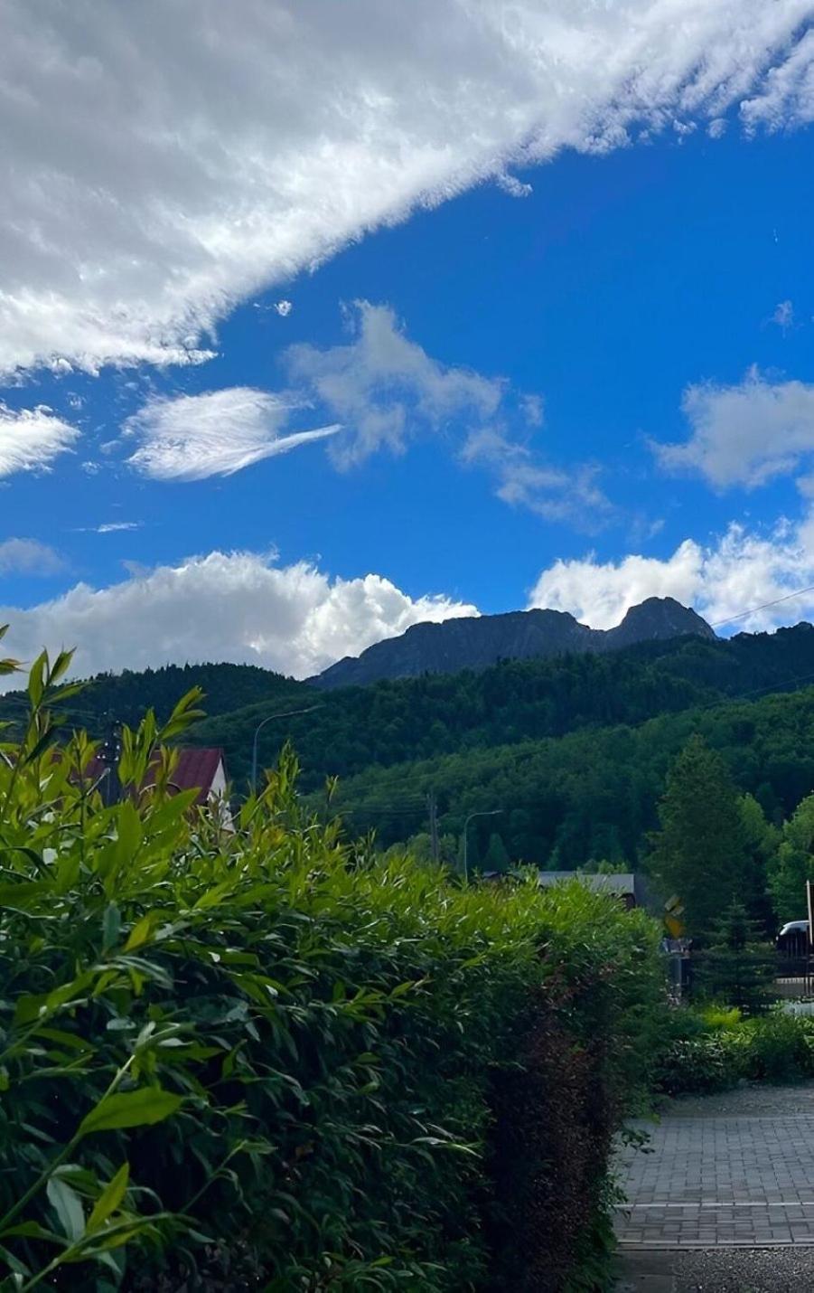 Apartmán Dom Lesnik Zakopane Exteriér fotografie