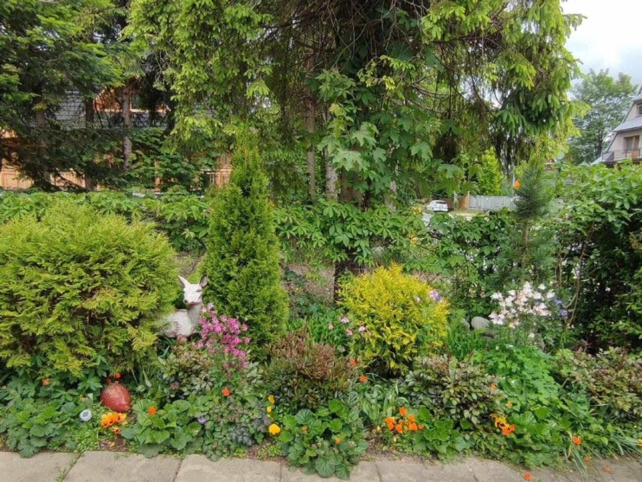 Apartmán Dom Lesnik Zakopane Exteriér fotografie